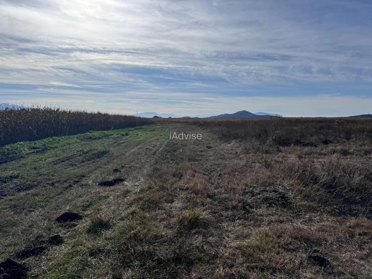 Teren de vanzare in Harman 4,4 Hectare - 2