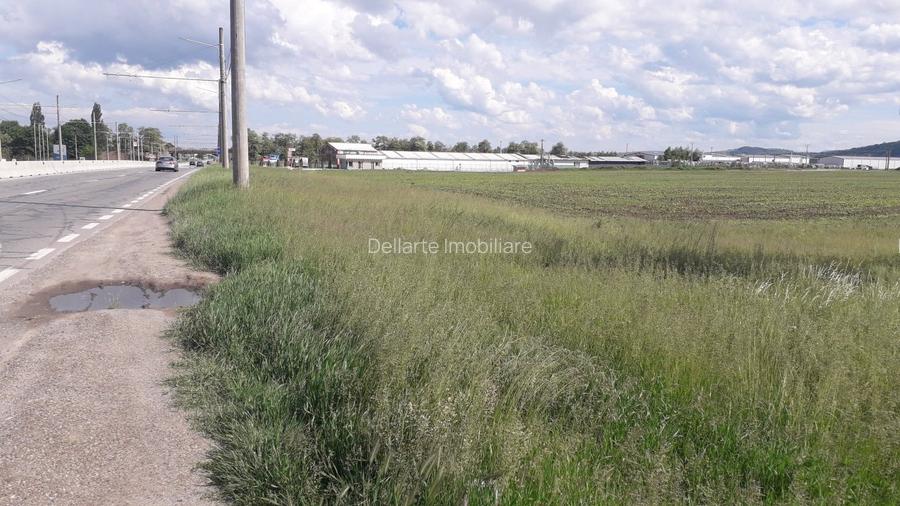 Teren intravilan 8900 mp,Dumbrava Rosiejud Neamt - 4