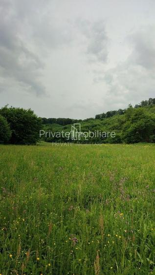 Teren de vanzare, 20.000Mp , Comuna Danes, drumul Crisului - 12