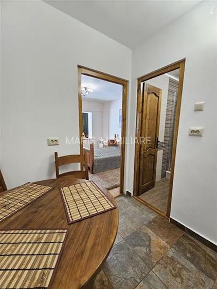 Inchiriere apartament 1 camera Centru - 8