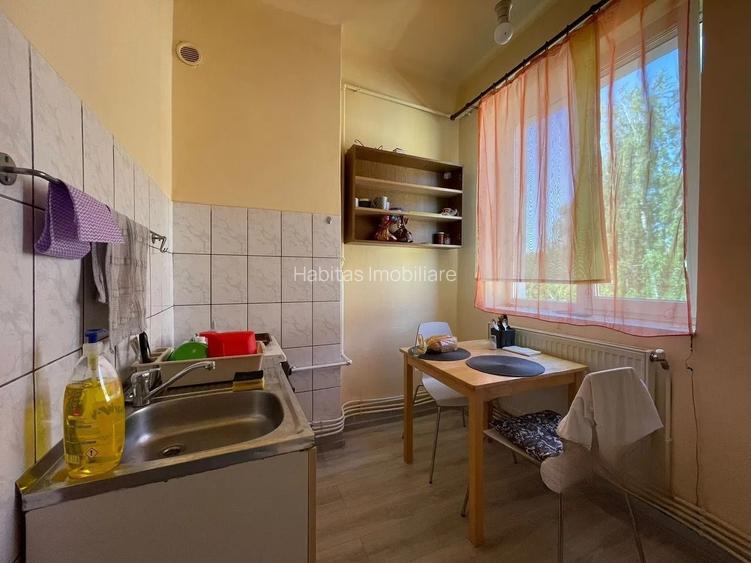 Apartament 1 camera decomandat, suprafata utila 42 mp, str Aurel Suciu - 9