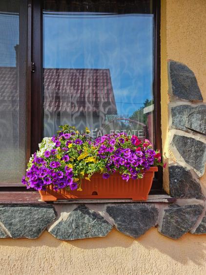 Vand casa 3 camere ARIUSD - 15