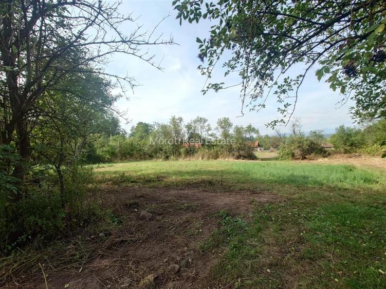 Teren intravilan si cladiri in Lunca - 11