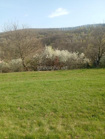 Vând terenuri,intravilane și extravilane !!! - 9