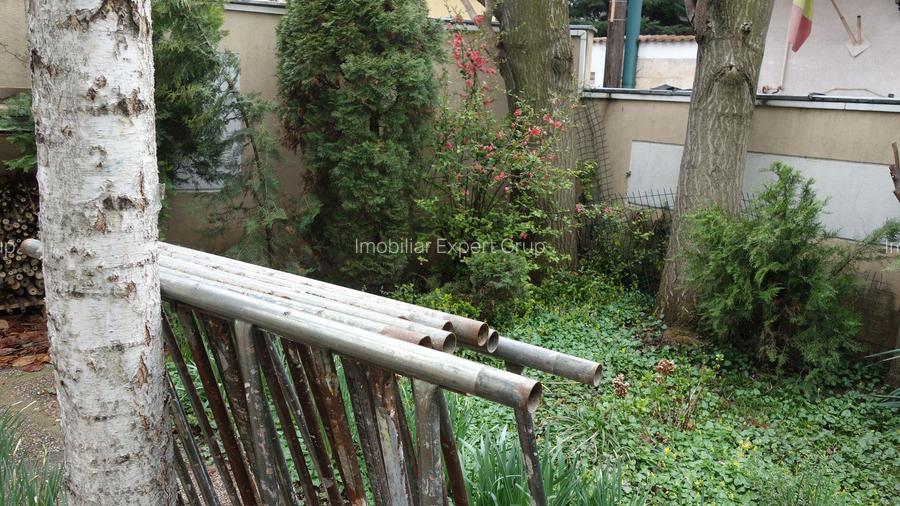 Pache Protopopescu-Agricultori-Matasari - 19