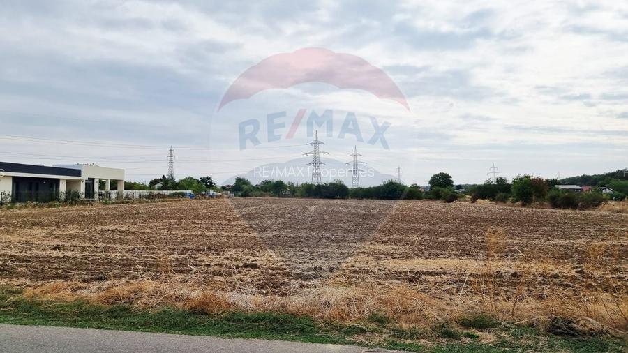 Vanzare Teren 9,032mp Balotesti / Strada I. C. Bratianu - 14