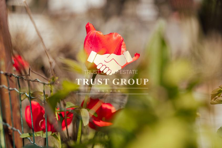 Casă individuală cu arhitectură deosebită și potențial investițional - 17