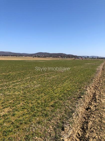 Teren 4.000mp strategic langa Pentarom & Dacia-Renault l Acces DN73 - 11