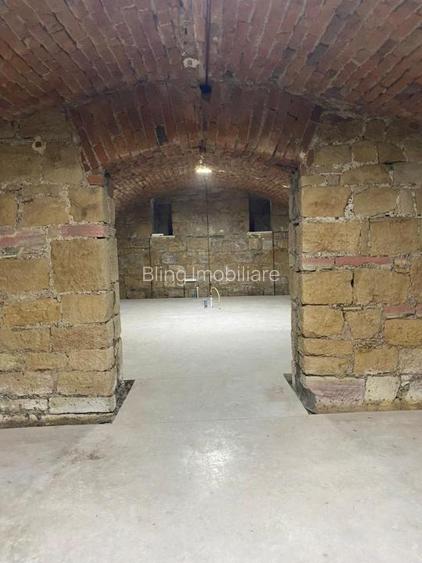 Spatiu Comercial, 258 MP, zona Podul Traian, ideal pentru clinica - 6