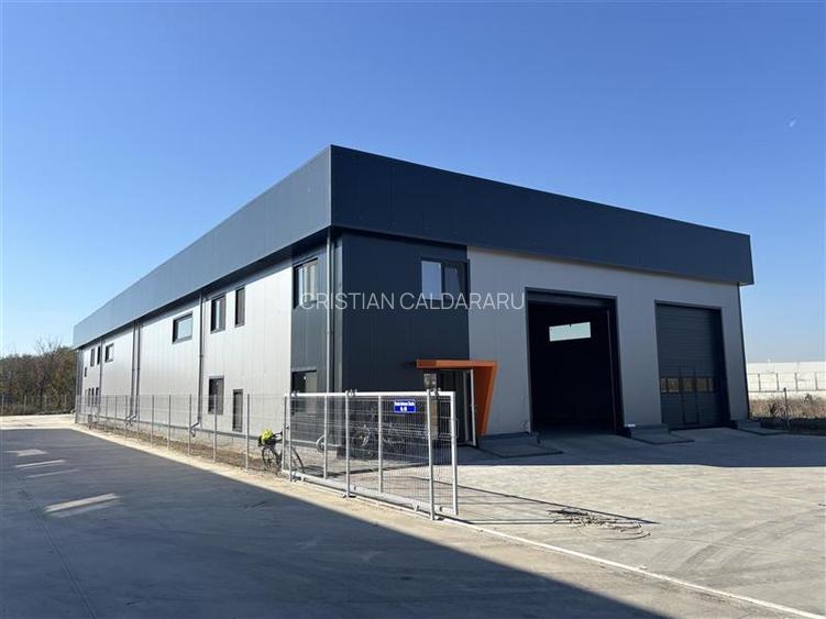 Vanzare depozit/hala/spatiu industrial Chitila - Centura - Rudeni - 9