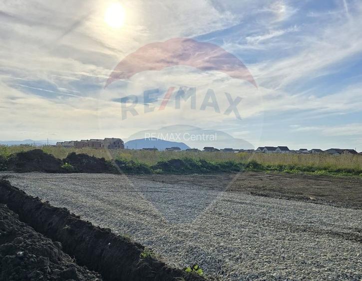 Teren Sanpetru, str Armoniei, 539mp, cu proiect casa si avize in lucru - 6