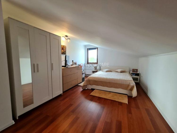 Vila + Afacere 15.000mp Clinceni - 19