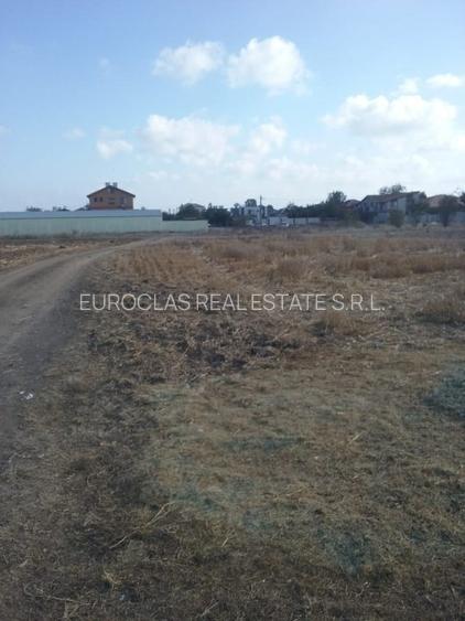 Exclusiv! Teren intravilan 6.100 mp - Cumpana - 29 euro/mp  (Cod E3) - 7