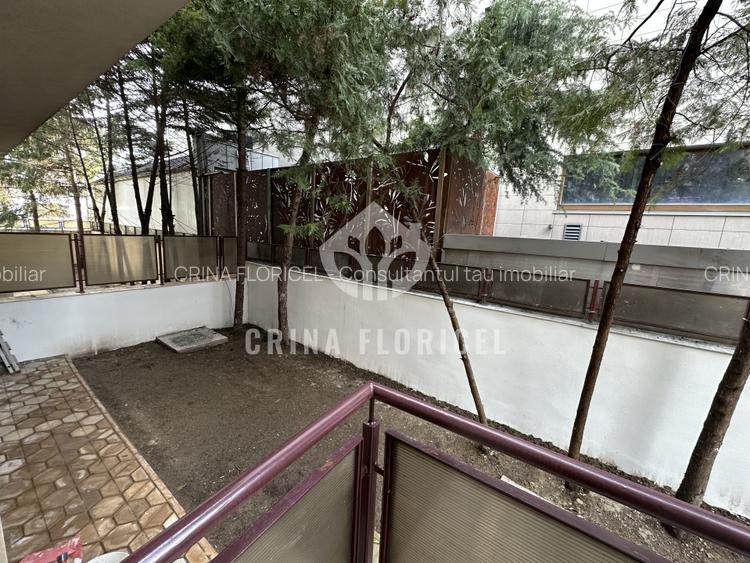 Inchiriere duplex cu gradina 60 mp - renovat - prima inchiriere - Herastrau - 17