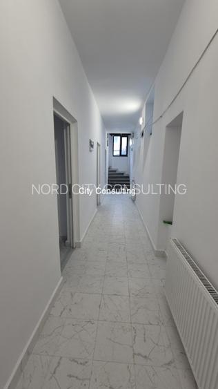 Inchiriere vila reprezentativa Cismigiu Sala Palatului - 9