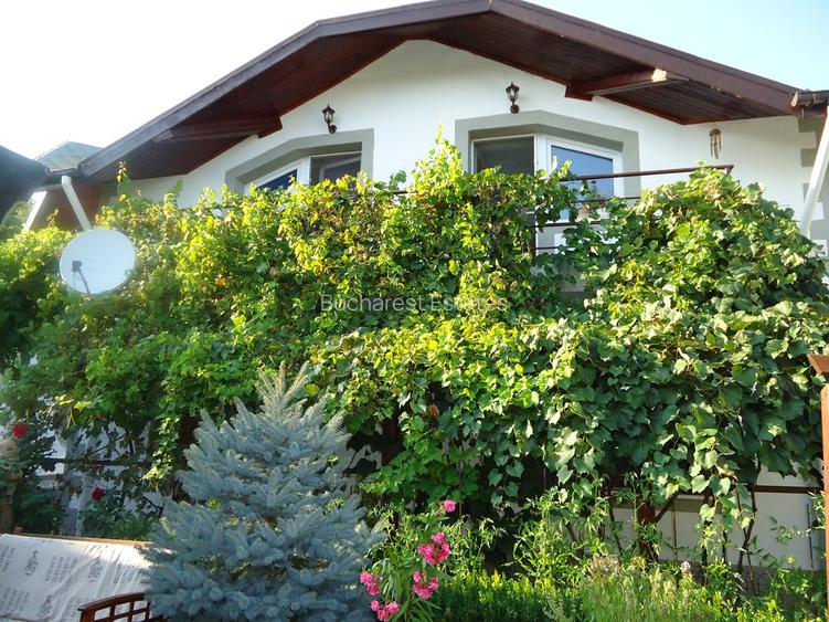 Vila piscina superba gradina matura cu iesire directa la padure - 17