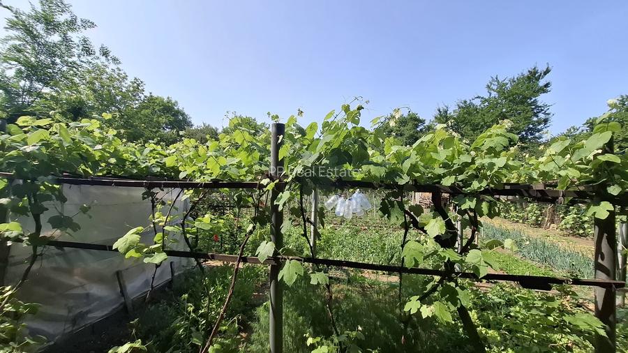 Kamsas - teren 2303 mp - deschidere 41.2 ml - 4