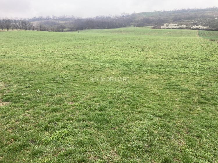 Miroslava! Teren agricol 6435, la 2 min de Primarie! - 2