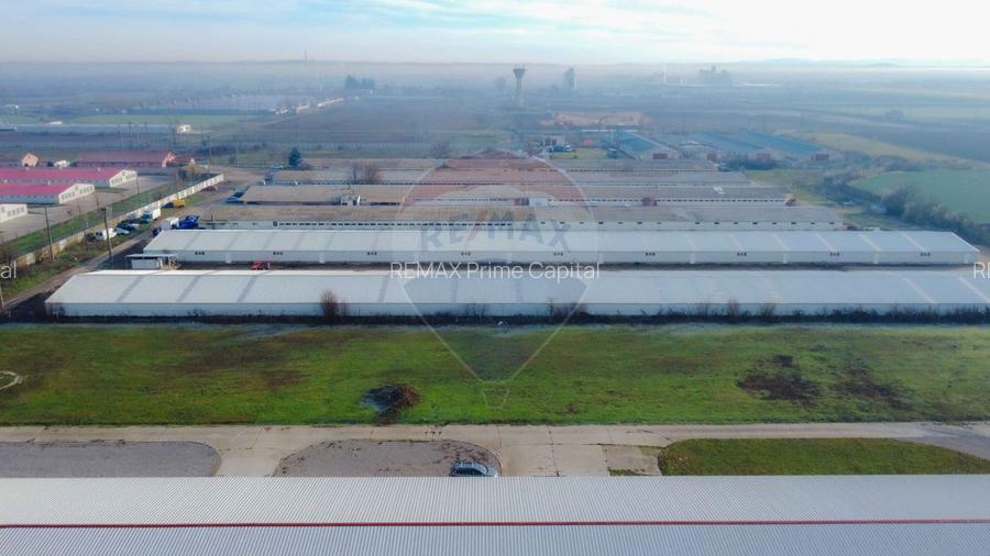 De vânzare – 2 hale industriale, 5.050 mp utili, Palota - 3