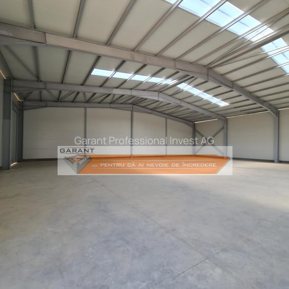 Hala noua Pitesti depozit-distributie, S=550 mp, H=6m - 2