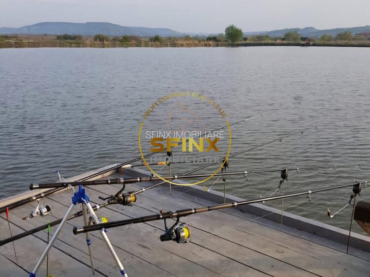 Lac privat | Calinesti, Jud Arges | 12.6 hectare | posibilitate investitie - 10