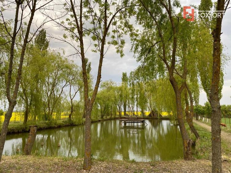 Vila Duplex cu lac si piscina Giarmata Vii  cu 5880 mp de teren - ID V5269 - 19