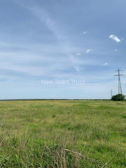Sos de Centura Pantelimon Vanzare Teren 3,5 HA si 1, 1 HA - Cernica  25400MP - 8