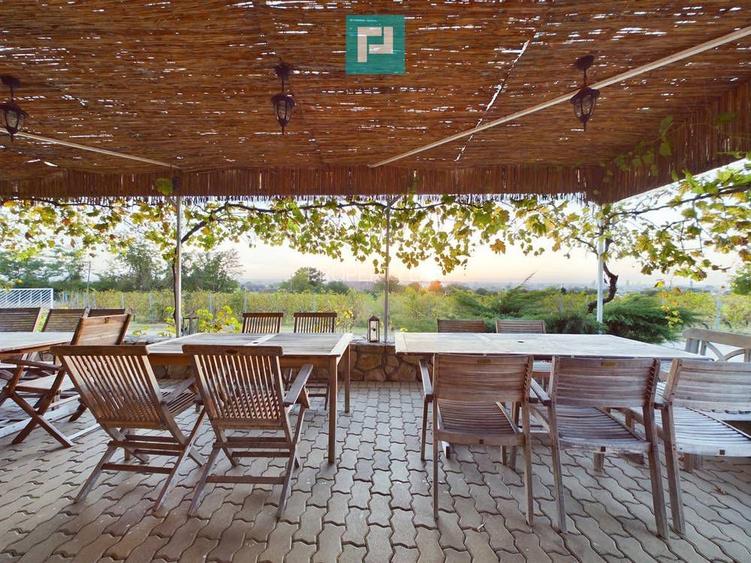 Pivnițele Birăuaș D.O.C Miniș - RATE FĂRĂ DOBÂNDĂ - 27