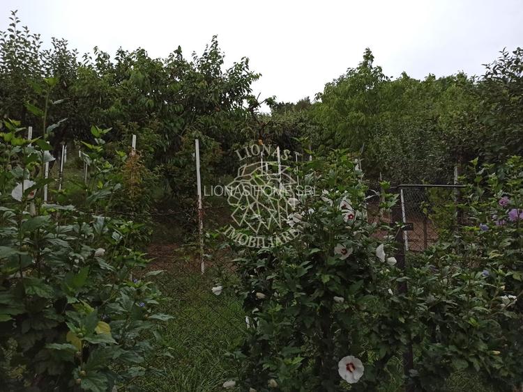 Casa 190 mp-teren 1860 mp-garaj-curte amenajata-Valea Sigmirului - 9