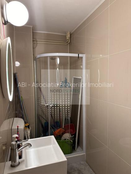 Vanzari Apartamente 3 Camere Ion Mihalache (1 Mai) - 10