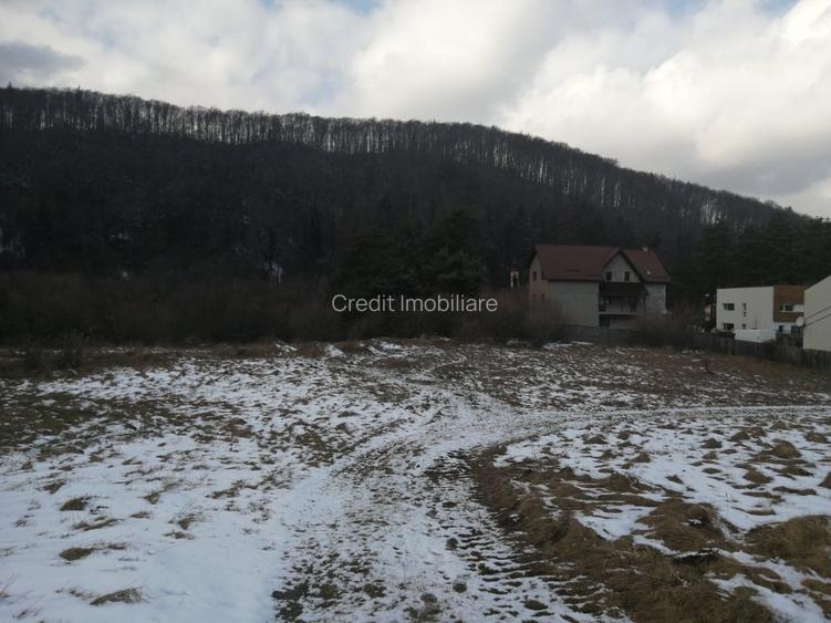 Teren de vanzare - 4