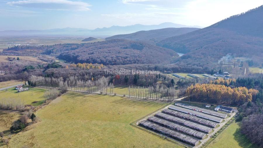 Teren Intravilan - Amplasare Unica - 21