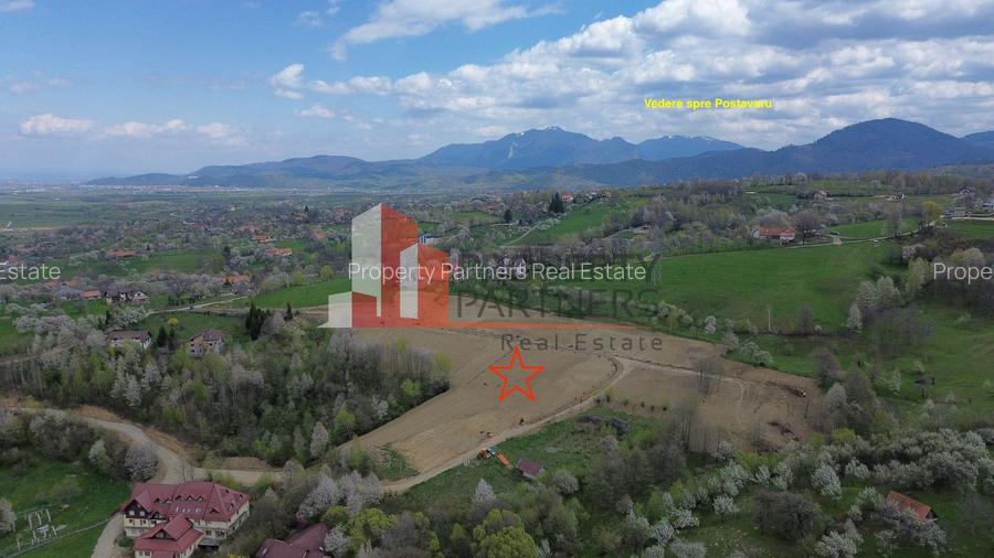 Parcele 1000 mp Sohodol - 5