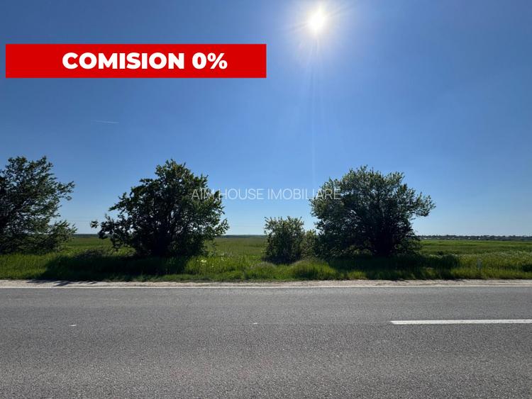 Teren agricol 12.500 mp | Deschidere directă DN61 | Dublu acces | Corbii Mari - 6