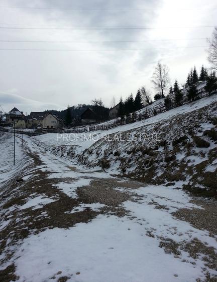 Moeciu, Drumul Carului, teren 3750 mp, 75000 euro - 7