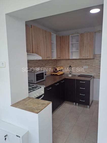 Calea Torontalului, apartament spatios, langa parc - 4