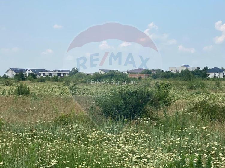 DE VANZARE Teren intravilan 600mp Drumul Piscul Mosului SISESTI - 12