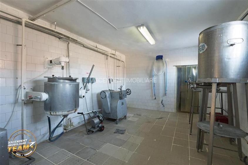 Fabrica de produse lactate+ birouri + 1.300mp teren, Ilieni, Covasna - 19