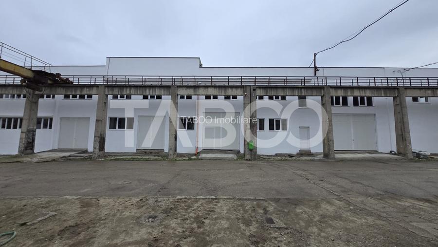 Spatiu de birouri si productie 550 mp utili de inchiriat in Fagaras - 3