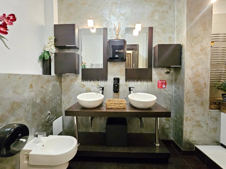 Vila  cu prestanta de inchiriat Cismigiu Calea Victoriei, curte generoasa - 16