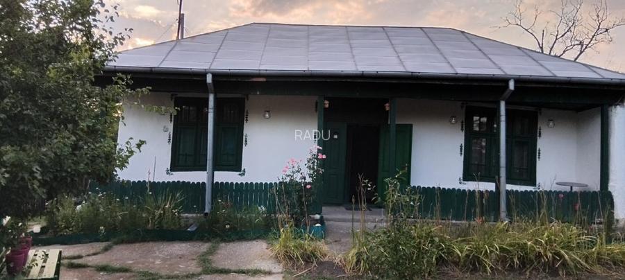 Casă locuibilă cu 1400 mp teren, vie pe rod și livadă – aproape DN3 – Ștefănești - 2