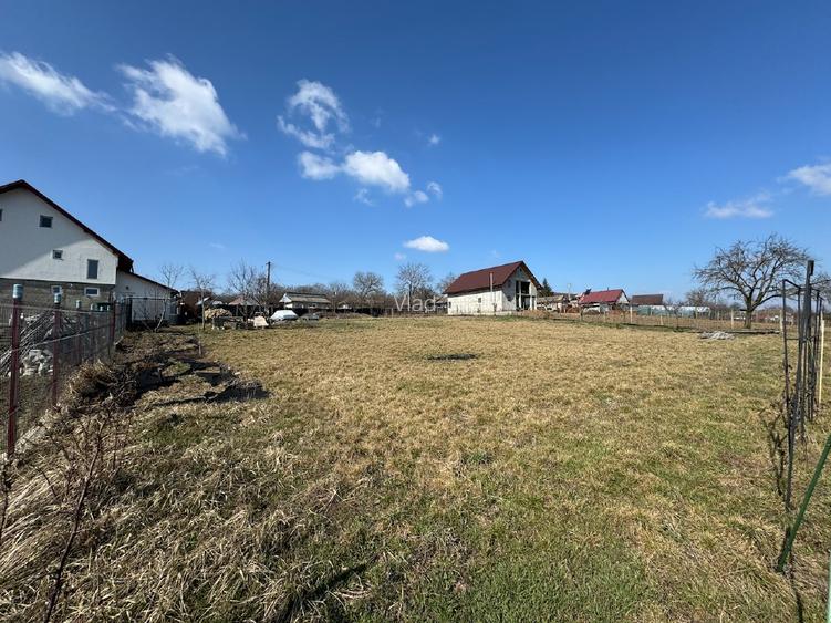 Teren 1797mp Dobrovăț-Ruși | Lângă Pădure | Gard Aluminiu & Fântână - 4