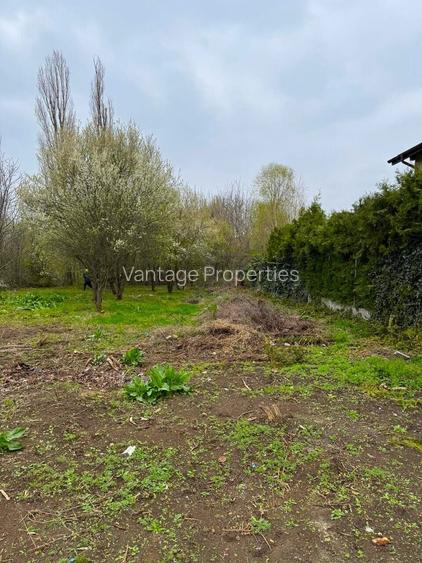 1000 mp teren intravilan | strada Serban Cantacuzino | zona Iancu Nicolae - 2