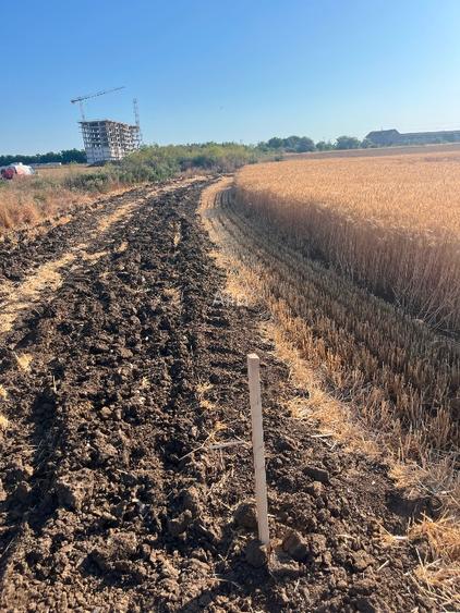 Teren Strada Tisei - Isaran Green ( Aurel Vlaicu ) - 6