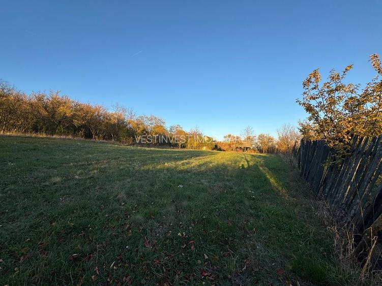 Teren intravilan 3323 Husasau de Cris - 3