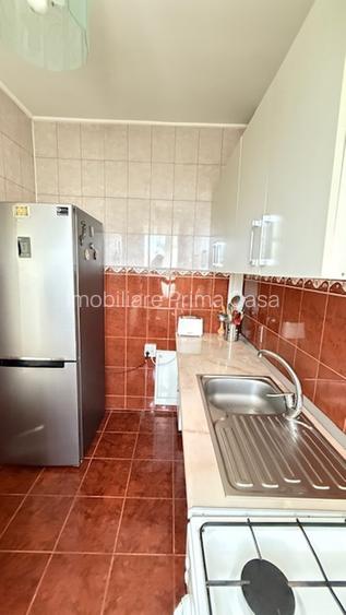 BAIA SPRIE - spre Cavnic Vila D+P+E 168mp + anexa cu teren 1526mp! - 14