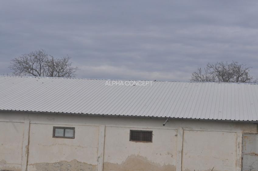 DEPOZIT CEREALE - CEAMURLIA DE JOS/STATIA CFR TVA INCLUS - 10