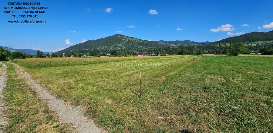 Teren intravilan Pangarati, 4400 mp - 3