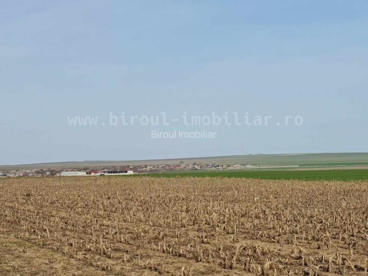 0% Comision - Vânzare teren agricol comasat direct la Soseaua  Istria - Sinoe - 6