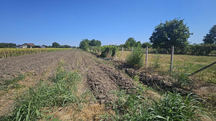 Teren intravilan 4000m2 - Cazasu, Braila - 5